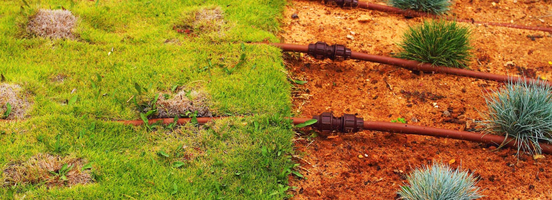 lawn irrigation