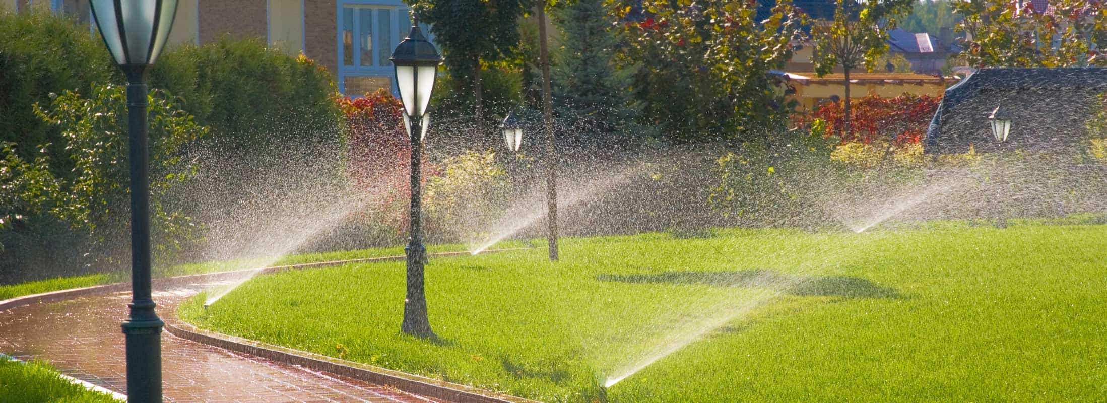 lawn irrigation